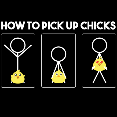 How To Pick Up Chicks Funny T Shirt 