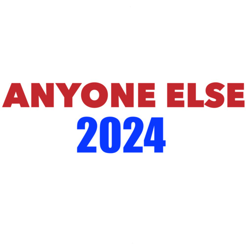 Anyone Else 2024  2024 Election Tshirt Large 