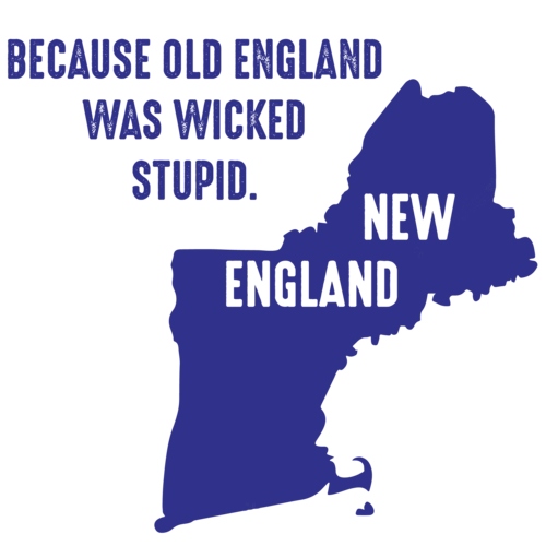  New-England-Be-Cause-Old-England-Was-Wicked-Stupid Irish Day  Long Sleeve T-Shirt : Clothing, Shoes & Jewelry