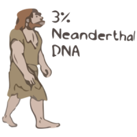 3% Neanderthal DNA - Funny Caveman T-Shirt