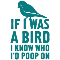 If I was a bird I know who I'd poop on T-Shirt