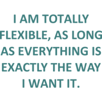 I AM TOTALLY FLEXIBLE, AS LONG AS EVERYTHING IS EXACTLY THE WAY I WANT IT. Funny T-Shirt Shirt