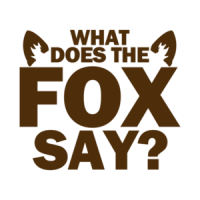 What Does the Fox Say Funny Shirt