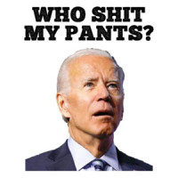 Biden Who Shit My Pants T-Shirt