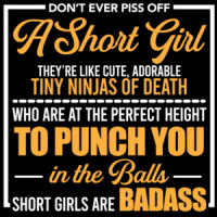 Don't ever piss off a short girl. They're like cute, adorable tiny ninjas of death who are at the perfect height to punch you in the balls - short girls are badass - funny ladies t-shirt