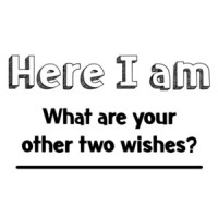 Here I Am, What Are Your Other 2 Wishes? T-Shirt