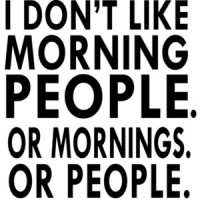 I don't like morning people. Or mornings. Or people. T-Shirt