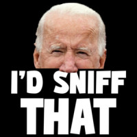 I'd Sniff That - Funny Joe Biden T-Shirt