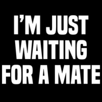 I'm just waiting for a mate - funny t-shirt