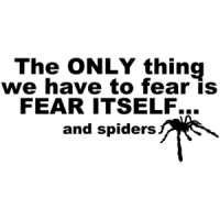 The Only Thing We Have To Fear Is Fear Itself And Spiders Shirt