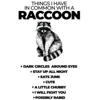 Things I have common with a raccoon - Dark circles around eyes - Stays up all night - funny ladies t-shirt