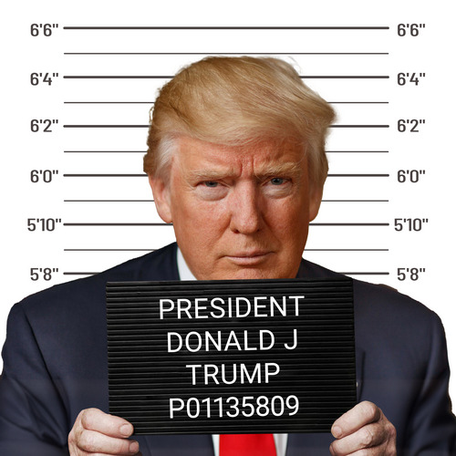 Donald Trump Mug Shot T-shirt