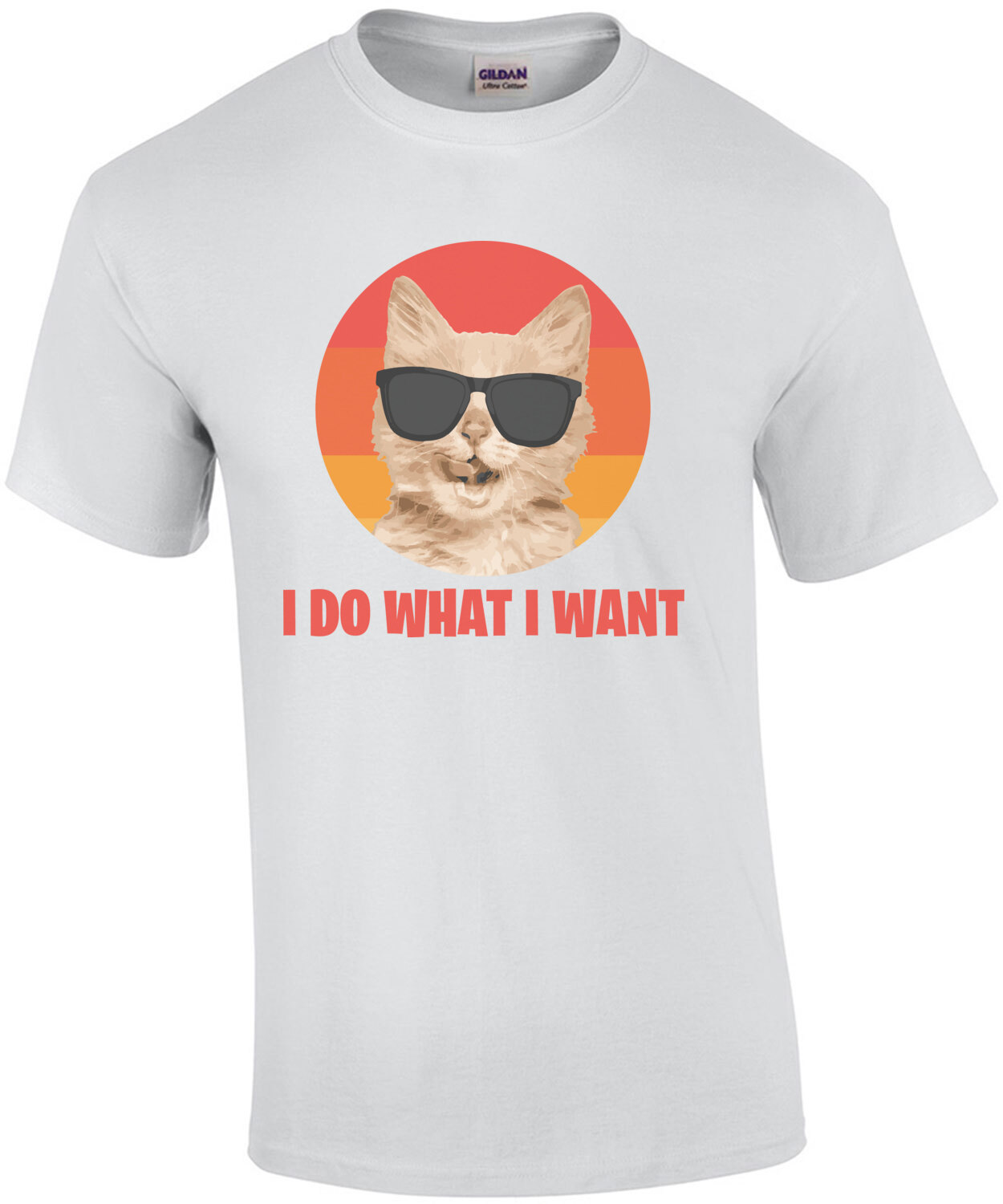 i-do-what-i-want-funny-cat-t-shirt