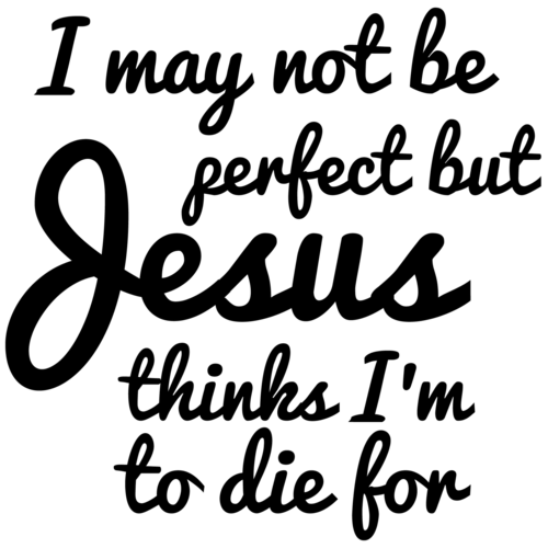 i would not die for jesus shirt