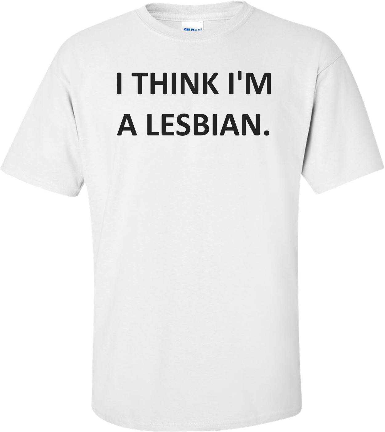 im a lesbian shirt