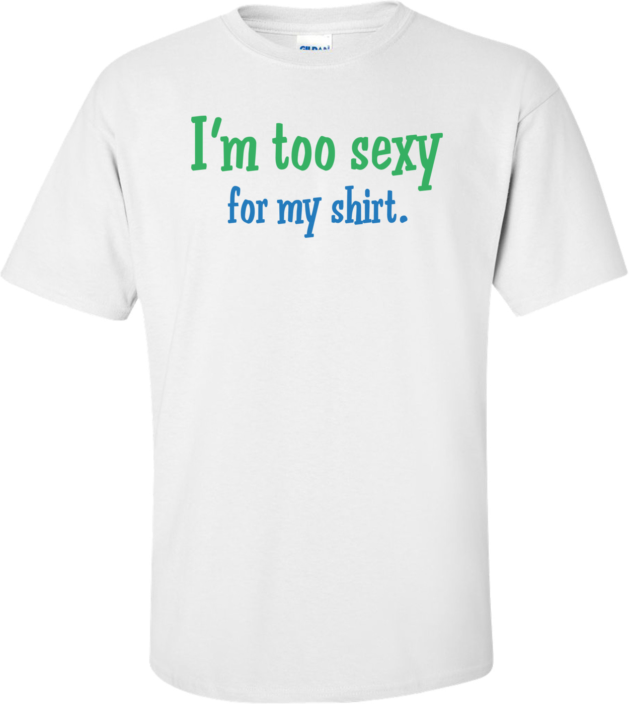Im Too Sexy For My Shirt T Shirt
