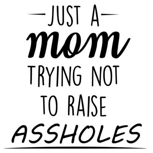 Just A Mom Trying Not To Raise Assholes Funny T Shirt 4936