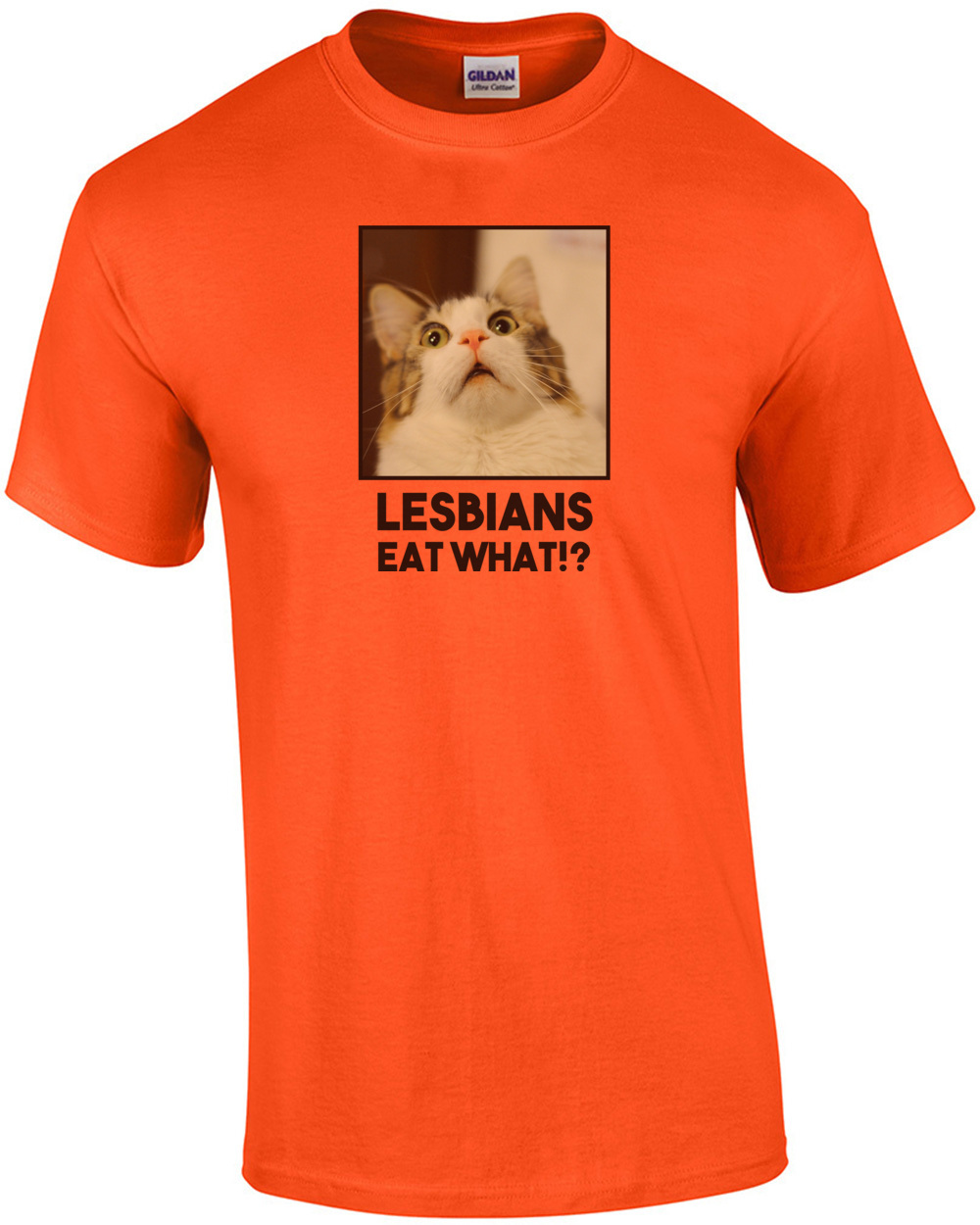 Lesbians Eat What Lesbian T Shirt Ebay