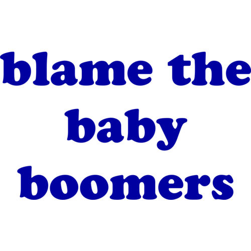 Blame The Baby Boomers T-Shirt