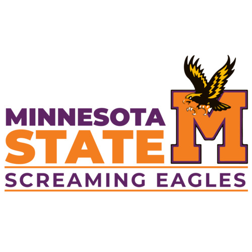 Vintage 90’s THE GAME Minnesota State SCREAMING EAGLES T-Shirt Size Medium  COACH