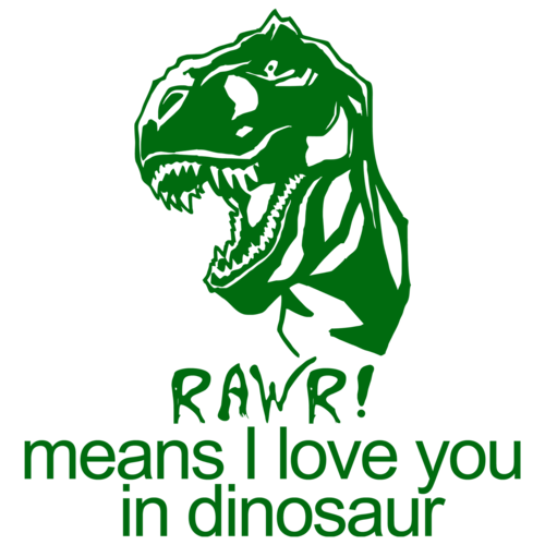 Rawr Means I Love You In Dinosaur Kids Shirt