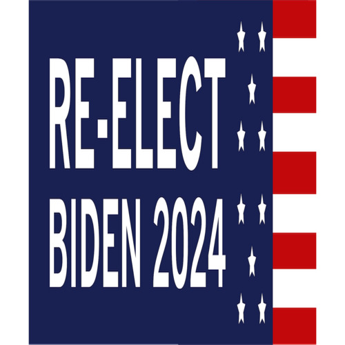 ReElect Biden 2024 Election 2024 Democrat TShirt