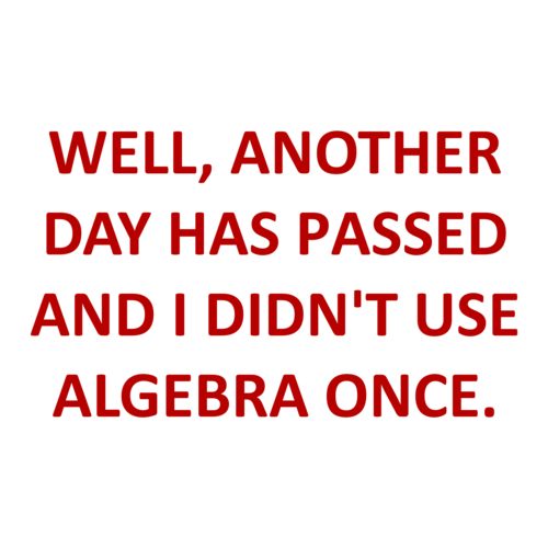 well-another-day-has-passed-and-i-didn-t-use-algebra-once-shirt