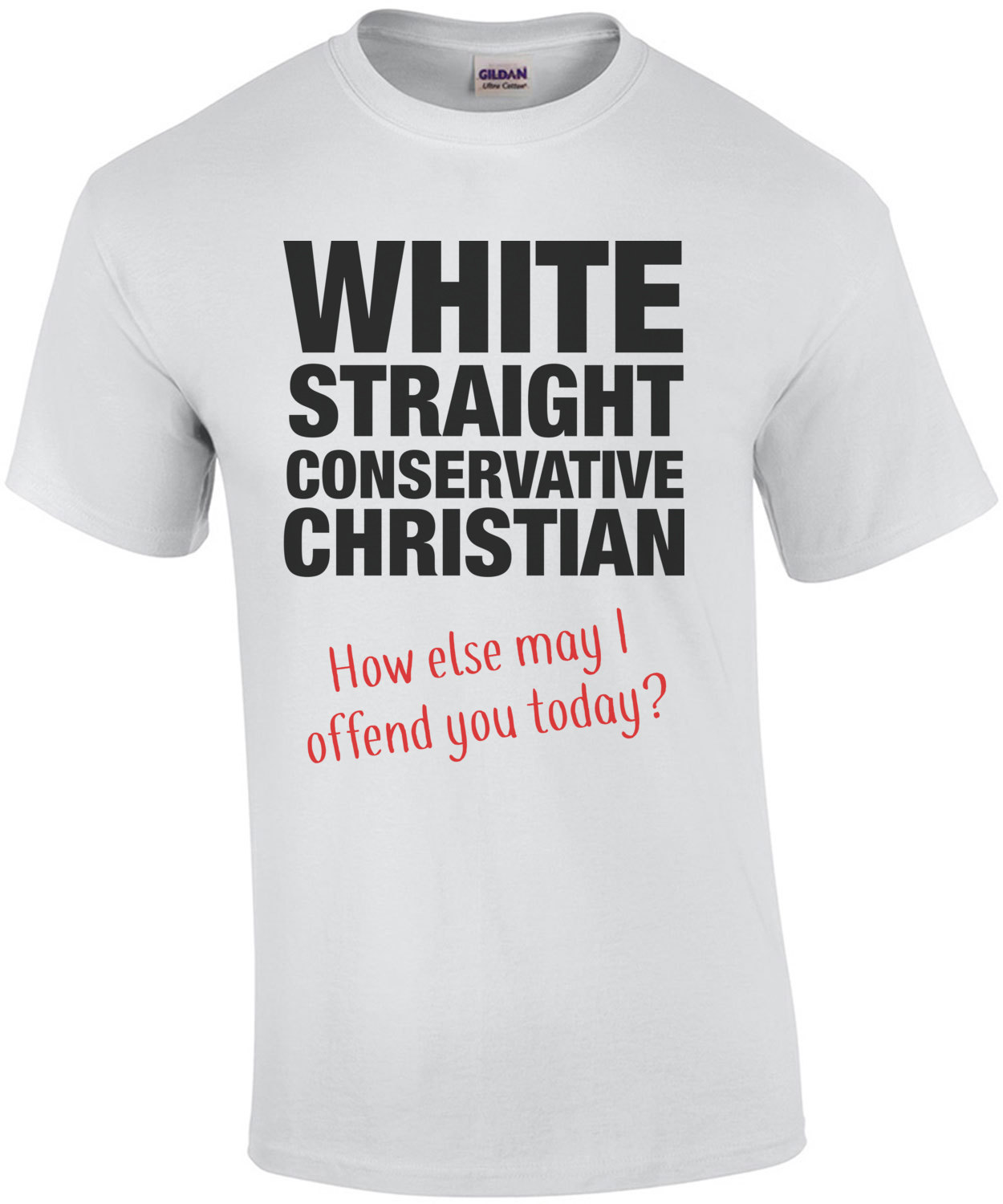 White, Straight, Conservative, Christian How Else May I Offend You 