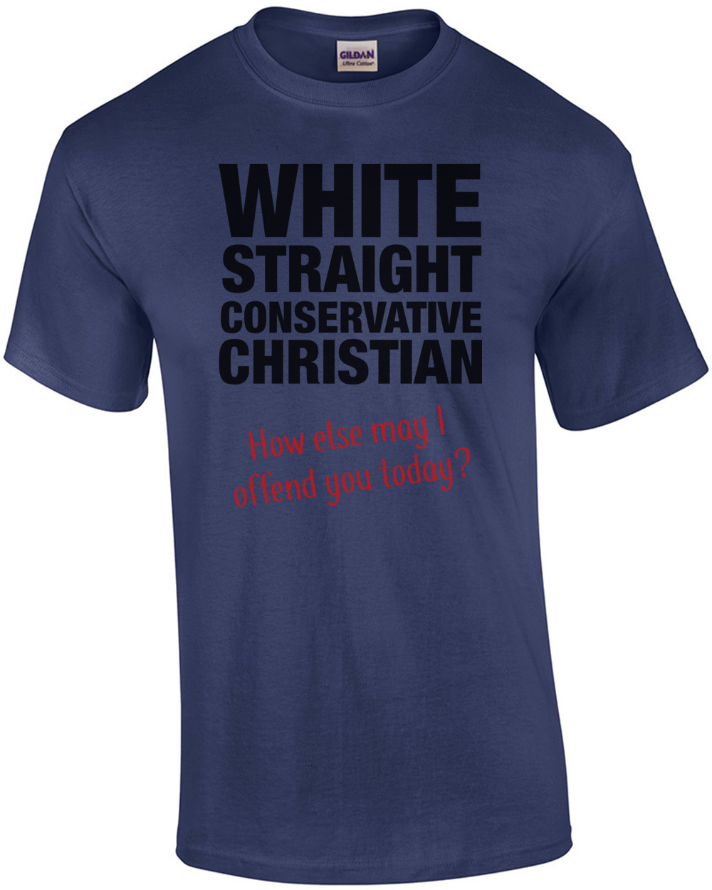 White, Straight, Conservative, Christian... How Else May I Offend You ...