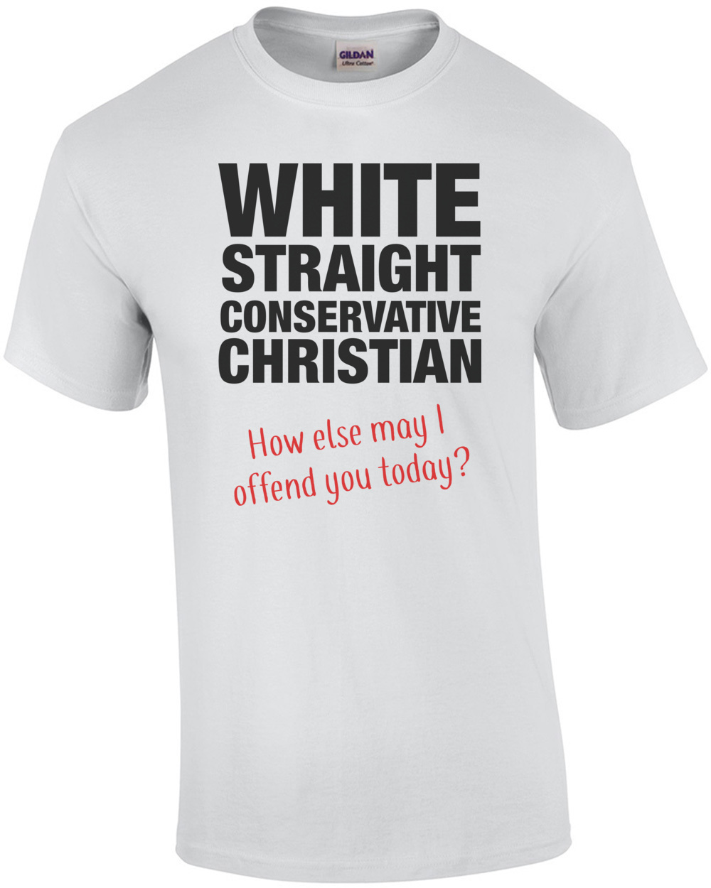 White, Straight, Conservative, Christian... How Else May I Offend You ...